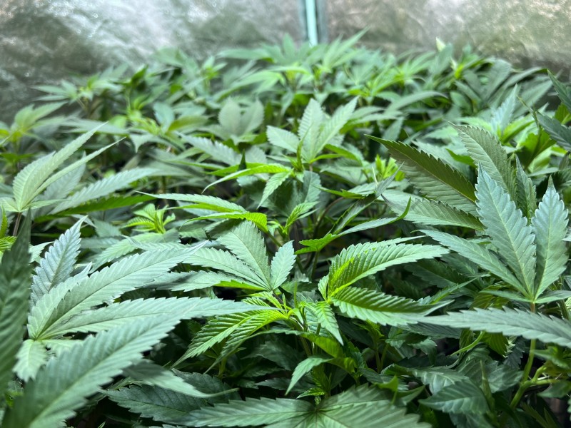 74F29F40-0920-41D7-A6EB-2B98454D2CD8