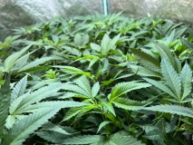 74F29F40-0920-41D7-A6EB-2B98454D2CD8