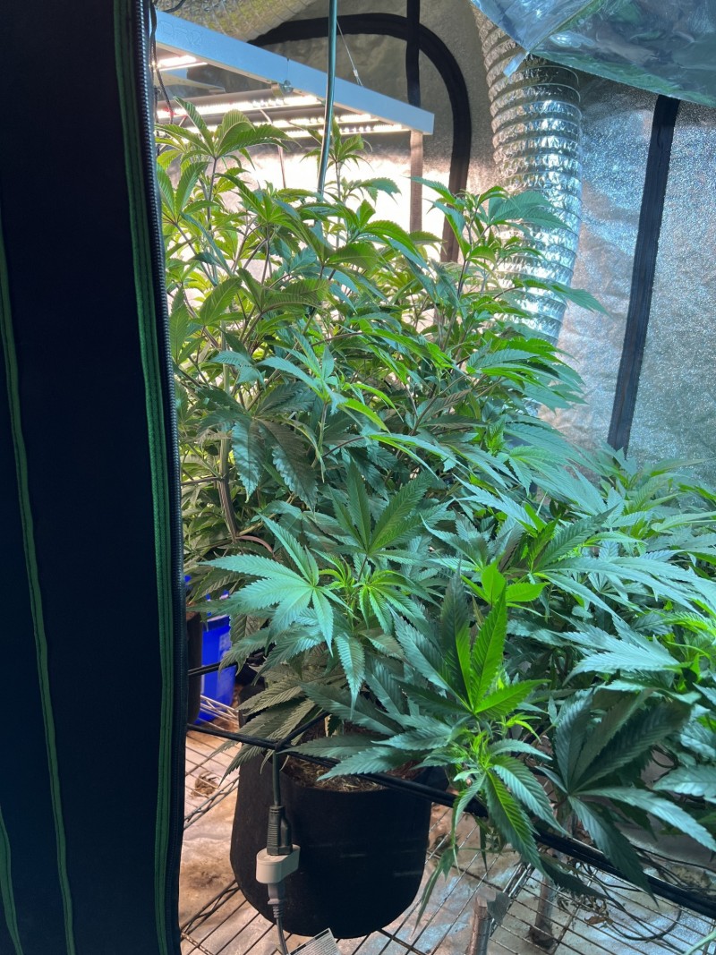 D381D0E8-9CE1-418D-BBC1-D36AC30CB466