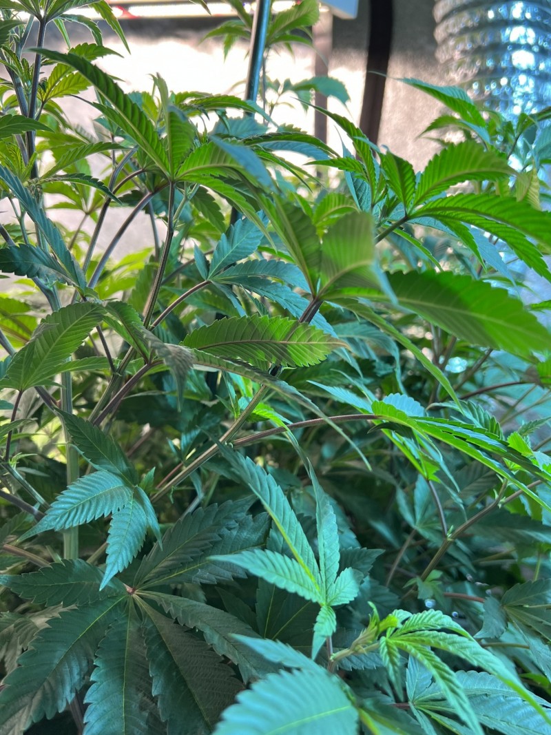 885EFEF4-47C7-4800-8A63-6658E8CFDF13