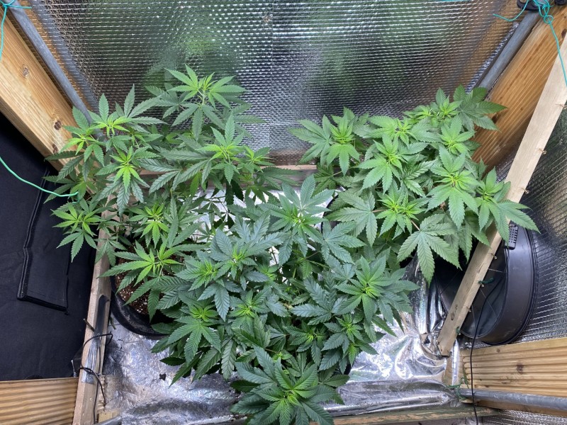 95826D68-301B-435C-AAEB-E80D7D389727