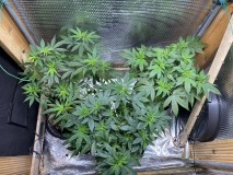 95826D68-301B-435C-AAEB-E80D7D389727