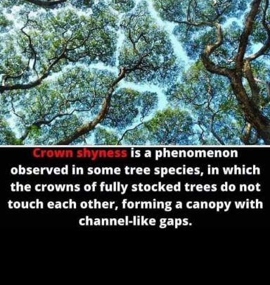 7695f2a394b20652c249b1968a594d6bf015b67a