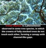 7695f2a394b20652c249b1968a594d6bf015b67a