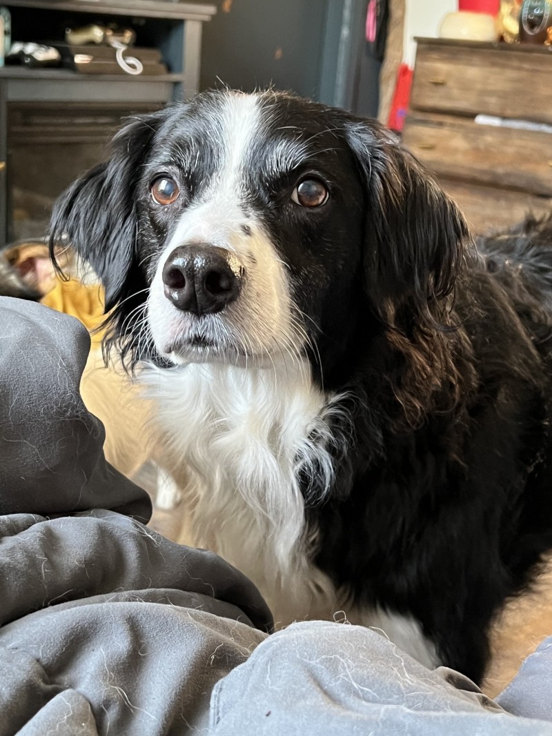 C2A34325-7468-4590-A9E3-E11B1EDB077B