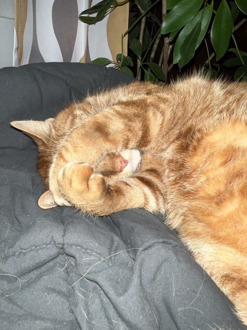 97BEFE9F-A932-4A8A-B705-A05B1FB1EE78