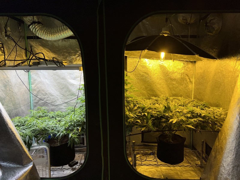 B912F6C8-5908-49A3-B750-7E583B39ABD1