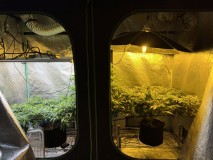 B912F6C8-5908-49A3-B750-7E583B39ABD1