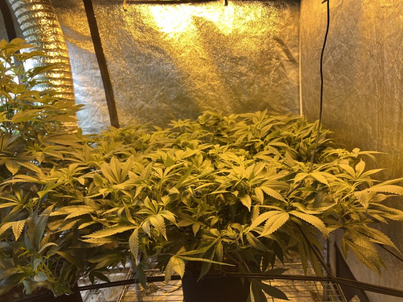 F3B1CA6C-A9C7-49FE-957C-914DF9D0A447