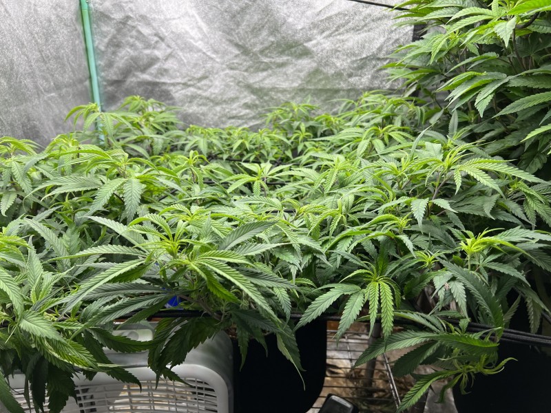 E100E2F2-33D6-4B3C-8DB8-32D77562E7F3