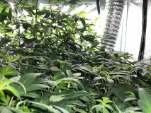 5BC368F7-28E9-4A6D-BDEA-F2A031E3EAEC