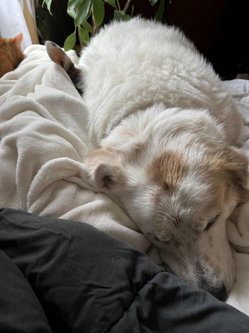 22D17587-EC4A-46E8-A7AB-AFCD8EDAFB63