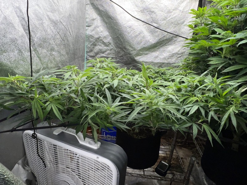 C626799D-AA23-44D7-B1D5-8E7AAD426202