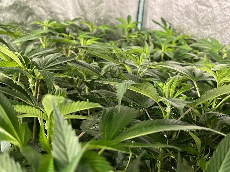 24CBF712-BFAB-4C99-984F-B791F8B23D11