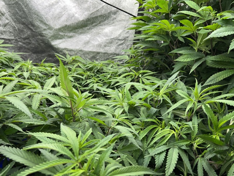 A708C3CE-E5AD-4FF3-8D6C-696F3C046157