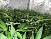 06C26431-0E68-443C-9688-2CCB663ABDE3