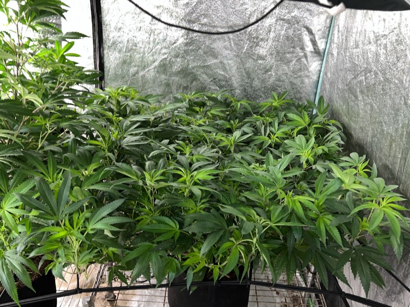 13C509F2-5E3D-4BE4-8336-82F522EB01E4