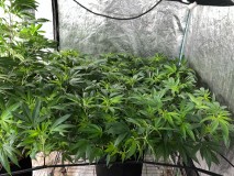 13C509F2-5E3D-4BE4-8336-82F522EB01E4