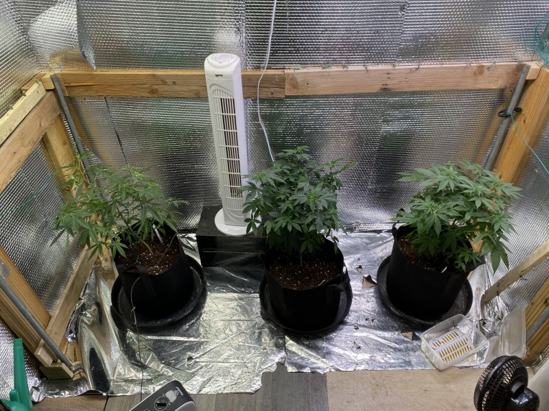 70820622-F483-4EBB-B1D0-6E3B0ED4662B