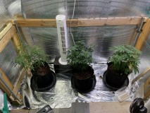 70820622-F483-4EBB-B1D0-6E3B0ED4662B