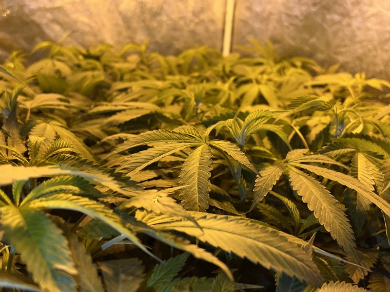 B7254D22-7096-4C3C-908B-A8A9EFB714D3