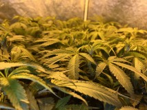 B7254D22-7096-4C3C-908B-A8A9EFB714D3