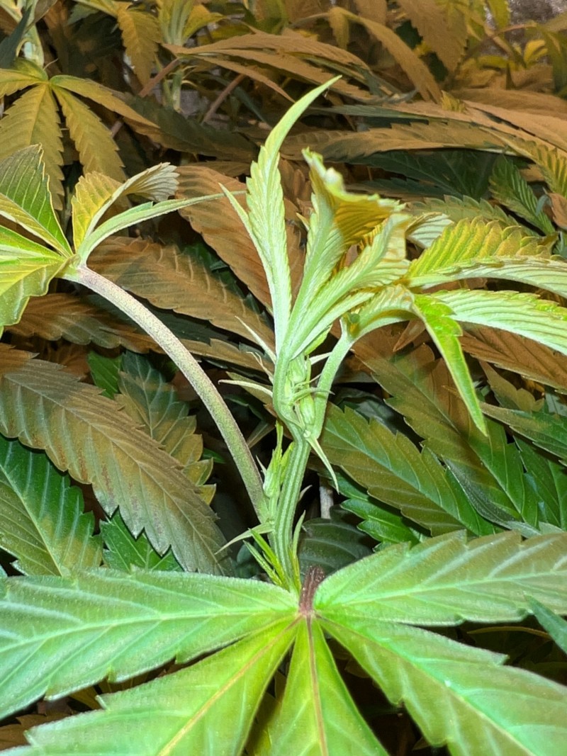 02ACCF46-3F2C-45AA-904E-BB4C3A0CF6BC