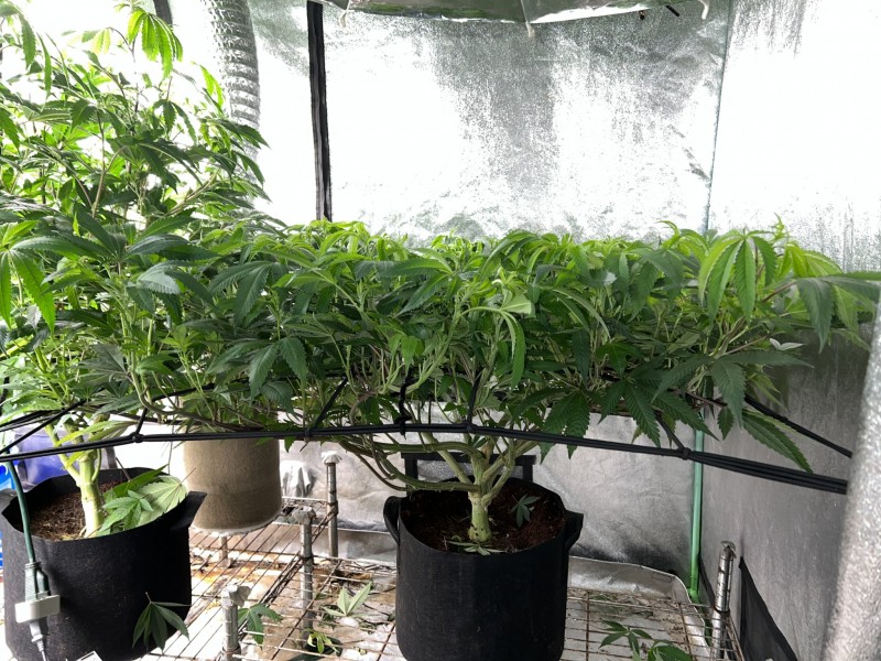 1508603F-7E4A-4BF2-B9E2-1940D4AF5A30