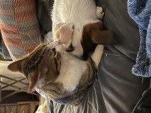 BF8EE902-4339-4857-B924-804A6CF1BB62