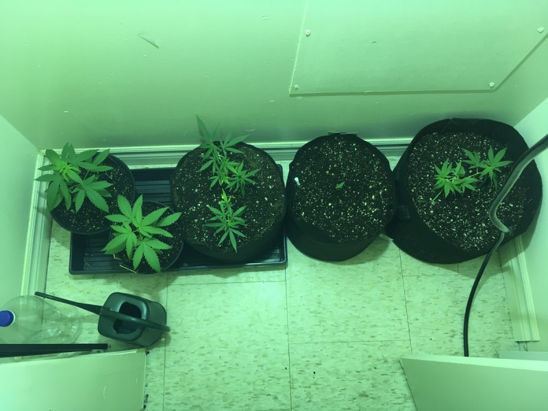 C07B3805-53BB-4124-BCA9-76F847CB92B7