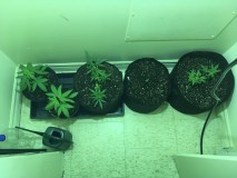 C07B3805-53BB-4124-BCA9-76F847CB92B7