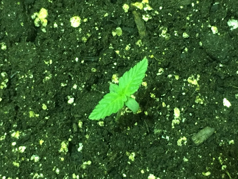 8766DCC3-2FD8-48BA-93D9-D92415E79EA7