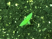 8766DCC3-2FD8-48BA-93D9-D92415E79EA7