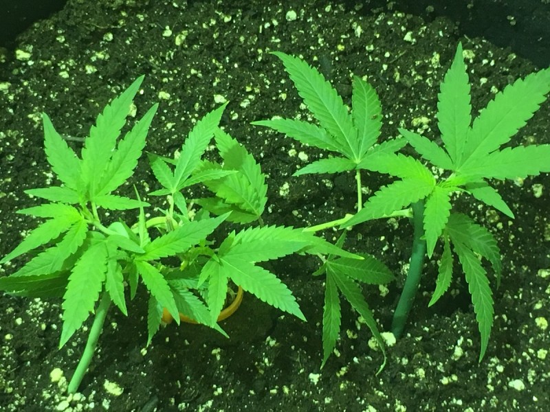 61C2465A-59E9-4E40-A9EC-71387E77BAC2