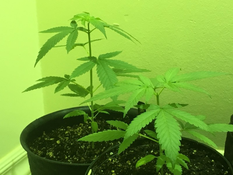 5BAB30C1-49B7-46A7-8D5F-98A0279C9154