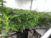 C1C18C59-F8E8-46AD-B4E3-CBC123BF6A56