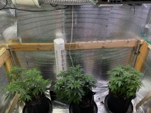 AE35C48C-B590-4ABC-9C1C-B44B82C817E9