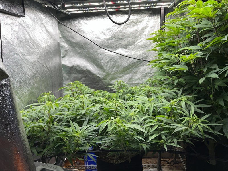 9CDE9351-219E-4BAE-A903-0BA2ECF1FE73