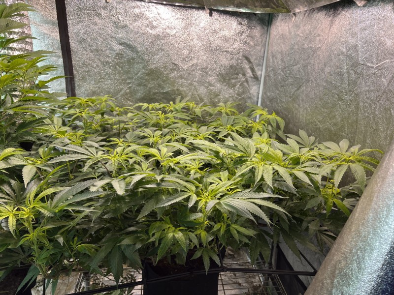 6EF8DB23-E84A-4343-BD82-67F4F6BEA18D