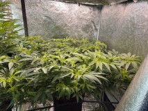 6EF8DB23-E84A-4343-BD82-67F4F6BEA18D