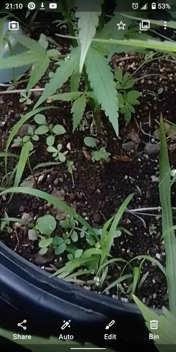 Screenshot_20230205-211052