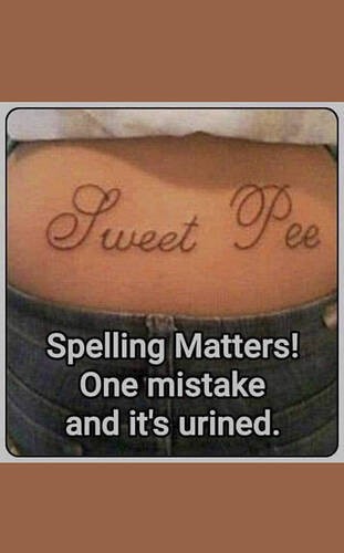 098657183e556a088013c5ee5b7d17d4f9332428_2_311x500