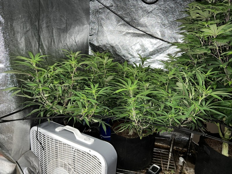 3506D7C4-1FB1-4A29-A960-A673C3D3C4D8