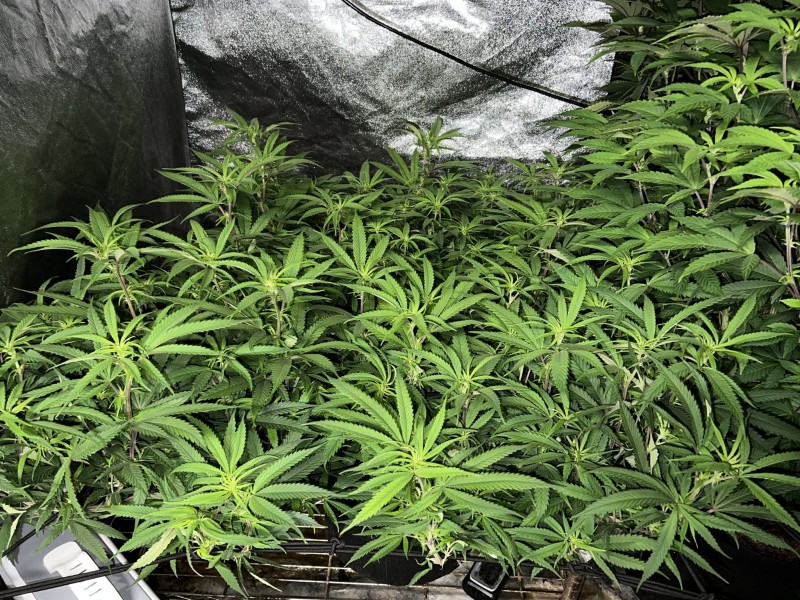 F282EC14-6164-41C7-9C58-635FEB66E6B6