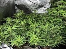 F282EC14-6164-41C7-9C58-635FEB66E6B6