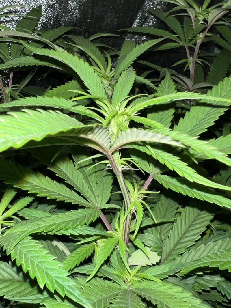 C2CB92FD-AB75-4598-BF20-DA6F1948857D