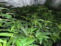 3CA61B40-F25E-4870-8DD3-BD713A70708A