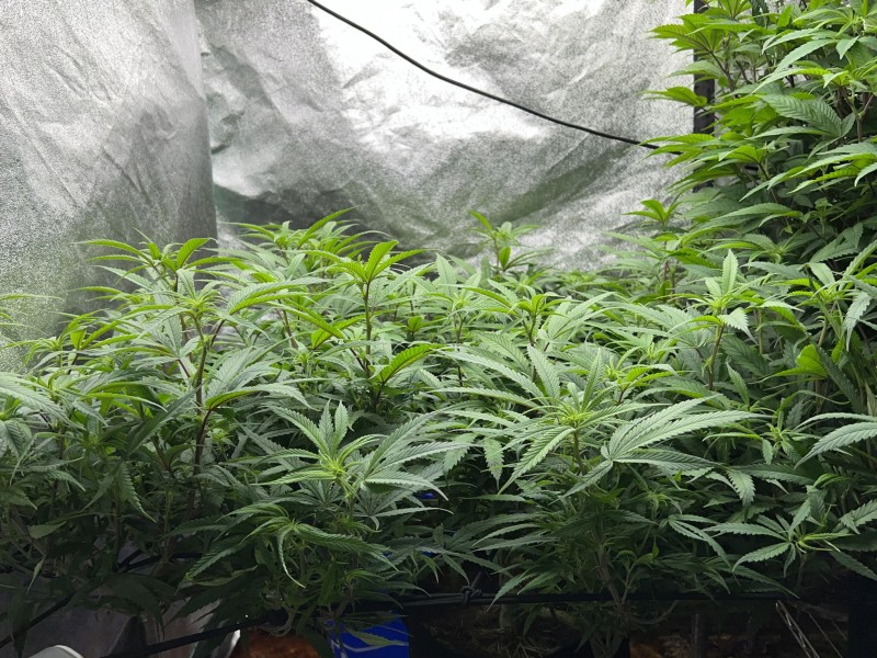 B65425AD-9A55-4DEC-A374-4D65D207F08C