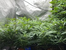 B65425AD-9A55-4DEC-A374-4D65D207F08C