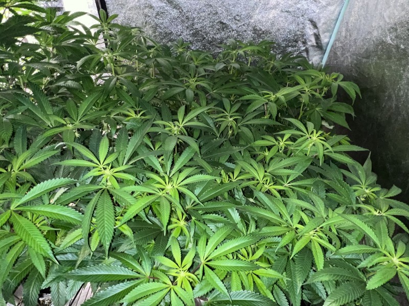 1BA05D1D-0F92-448F-A4F6-251FCE501468